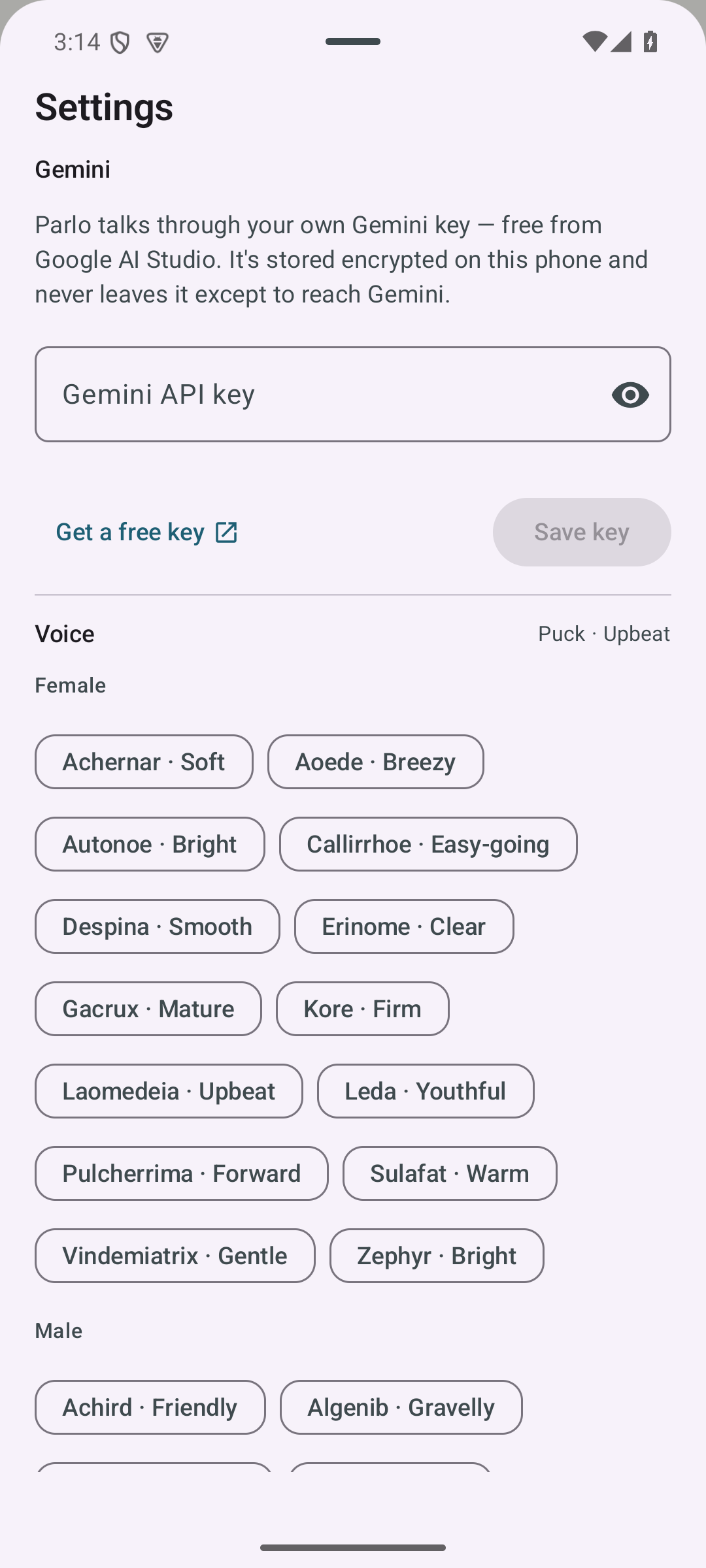 Settings screen with voice chips grouped Female and Male